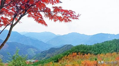 ​四川什邡川西红枫岭，秋天的山岭层林尽染，爬山赏枫呼吸清新空气