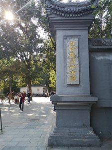 ​揭秘：火烧圆明园真相，火烧圆明园元凶是谁？