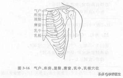 ​足阳明胃经气户、库房、屋翳、膺窗、乳中、乳根穴位歌诀