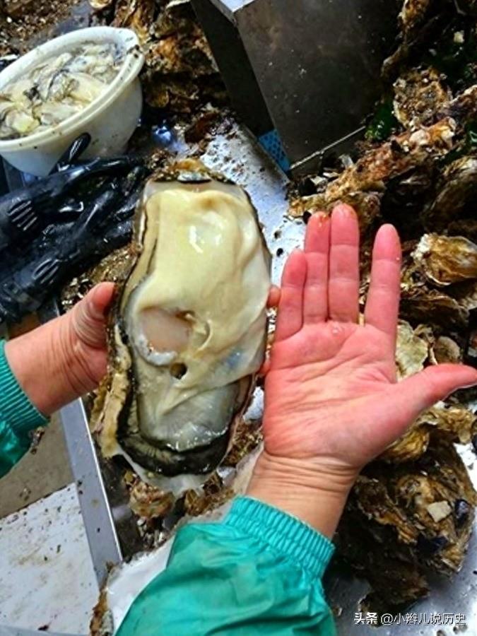 直击日本福岛核泄漏，海洋生物变异，图4她告诫女儿永远别生孩子