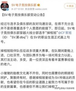 ​SV皮一下！没想到吧“天蓬元帅”又回来了