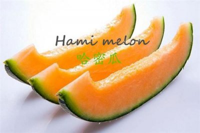 ​英文直译哈密瓜究竟是不是Hami melon