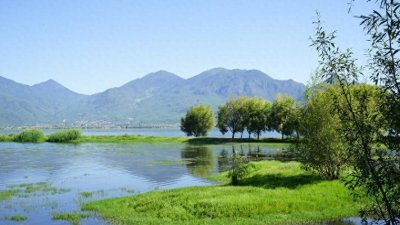 ​云南拉市海一日游攻略，这里的水草丰美，湖色如镜