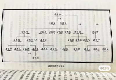 ​诸葛亮养子：诸葛乔之死的猜想