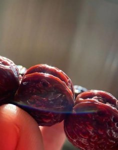 ​文玩小核桃手串到底能多漂亮，看看玩家分享图吧，这4种都能做到