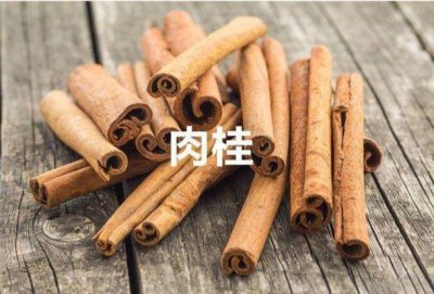 ​肉桂是什么树的树皮，它是一种什么样的植物？