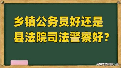 ​乡镇公务员好还是县法院司法警察好？