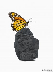 ​活性炭是什么？