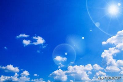 ​一堆“花花肠子”