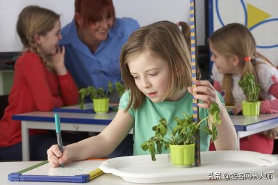​高贵优雅文艺的女孩名字