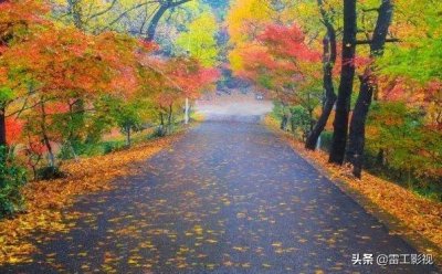 ​南京让你惊艳的美景之一，中国四大名刹之一，栖霞山风景区