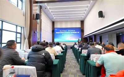 ​佛祖岭街道举行村级产业招商会 大力发展集体经济