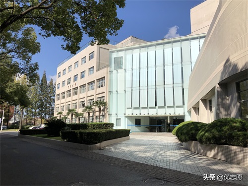 上海财经大学校园风光,走进深秋的校园,实在太美了