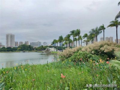 ​南宁南湖公园游玩攻略