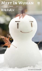 ​千真万确，武汉的初雪来了！