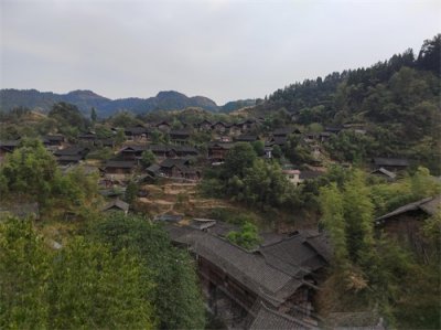 湘西剿匪史记(2):1949年,湘西纵队成为解放湘西和剿匪急先锋