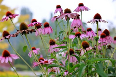 区委书记的一番话,让我彻底明白了县官不如现管的道理!