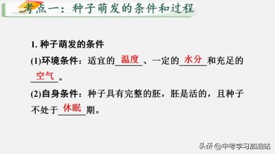 ​七年级生物《被子植物的一生》知识点、考点图文梳理总结