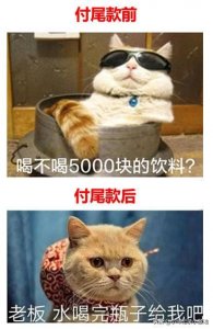 ​双十一付款前后对比的搞笑照片合集