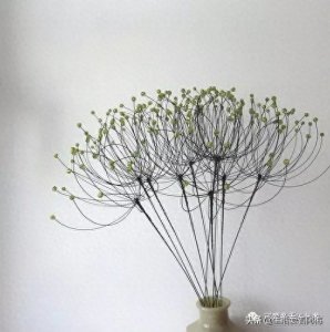 ​变废为宝用铁丝做手工，没想到成品出来这么多人喜欢，附教程