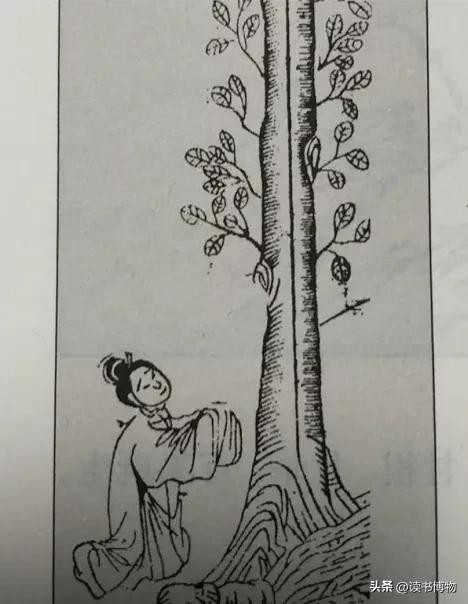 三星堆不敢公开的秘密（三星堆和山海经之间的隐秘关联）-