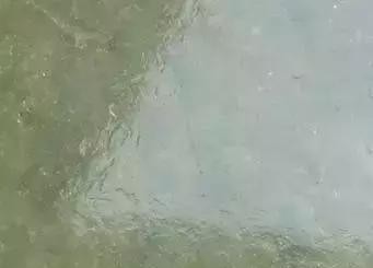 玉髓是玉吗-玉髓和翡翠的区别（玉髓和翡翠的区别）