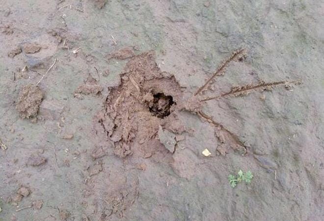 金蝉晚上出土时间段（金蝉什么时候出土最多）