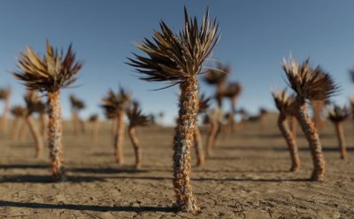 ​倒拔垂杨柳是谁的故事情节（倒拔垂杨柳的主人公是谁）