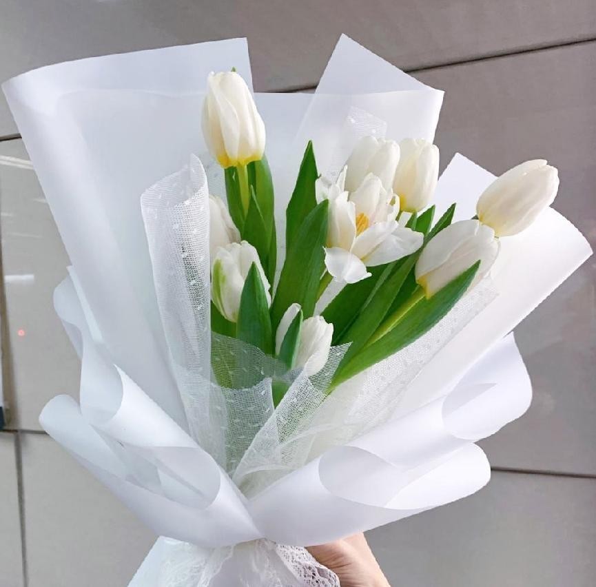 白色郁金香寓意和花语（白色郁金香花语是什么意思）