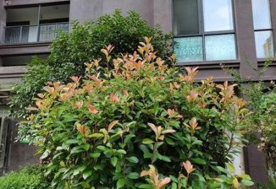 ​给陌生人鼓励的一段话(对陌生人鼓励的话)