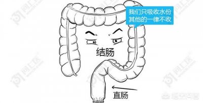 ​晨起一杯淡盐水真的好吗(晨起喝一杯淡盐水好吗?)