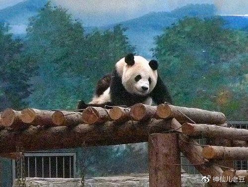 北京9大适合带孩子玩的地方，首推海洋馆。