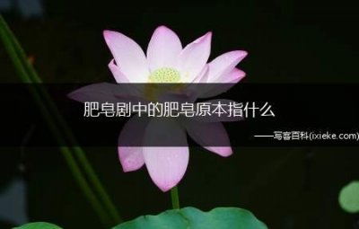 ​肥皂剧中的肥皂原本指什么？介绍肥皂剧的历史渊源