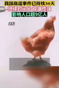 热麻了!中国四大火炉城市,到底是哪10个?