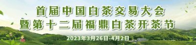 这个福鼎白茶饼将申报吉尼斯世界纪录!