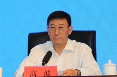 全国政协副秘书长高波,有新职