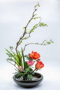 一个有城府的人,会有这四个特征