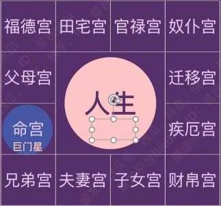 「紫微斗数12」巨门星的基本概念