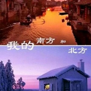 南方和北方那些巨大差异