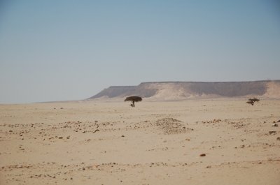 ​三毛与荷西曾定居地：西撒哈拉到底是一个国家，还是一块飞地？