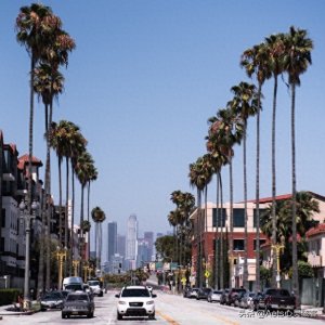 ​美国冷知识——加利福尼亚州