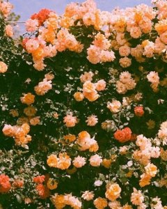 ​那些年做过婚外情人的女人，后来怎样了？