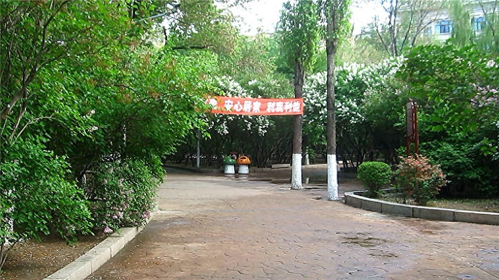 哈尔滨隐藏最深的一座公园,外地人恐怕都找不到——清滨公园