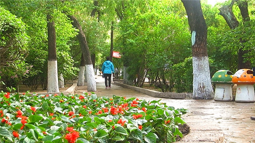 哈尔滨隐藏最深的一座公园,外地人恐怕都找不到——清滨公园