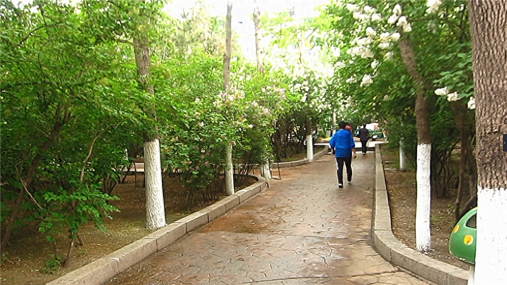 哈尔滨隐藏最深的一座公园,外地人恐怕都找不到——清滨公园