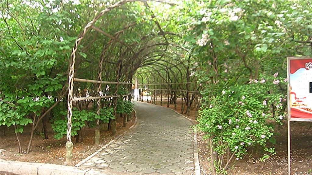 哈尔滨隐藏最深的一座公园,外地人恐怕都找不到——清滨公园