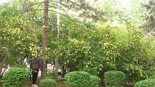 哈尔滨隐藏最深的一座公园,外地人恐怕都找不到——清滨公园