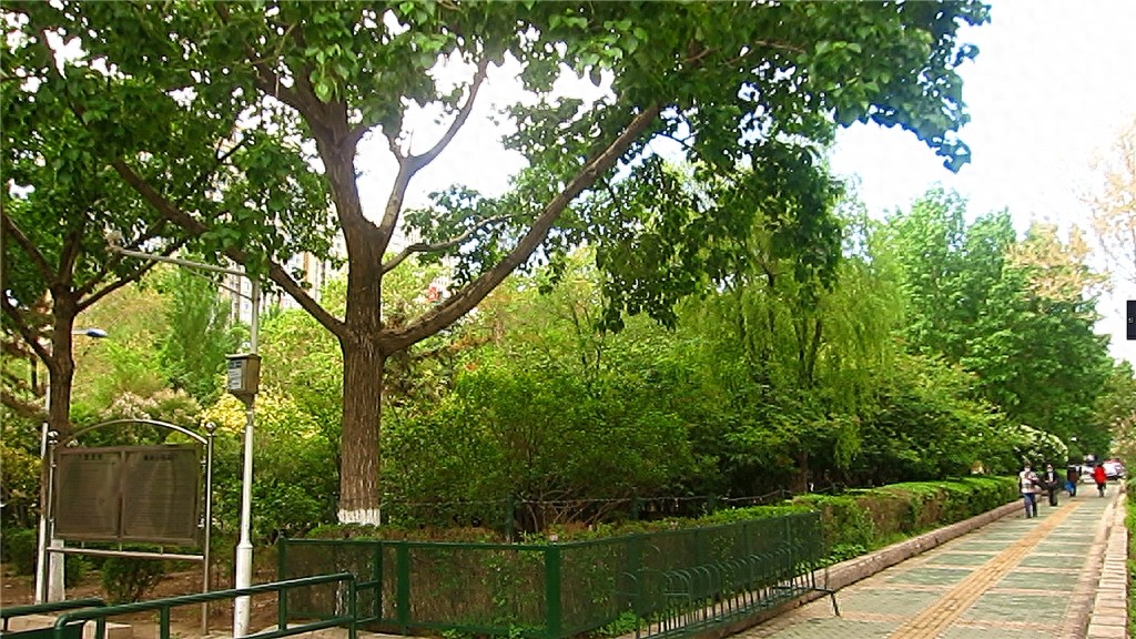 哈尔滨隐藏最深的一座公园,外地人恐怕都找不到——清滨公园