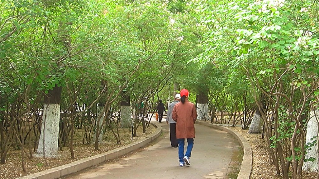 哈尔滨隐藏最深的一座公园,外地人恐怕都找不到——清滨公园