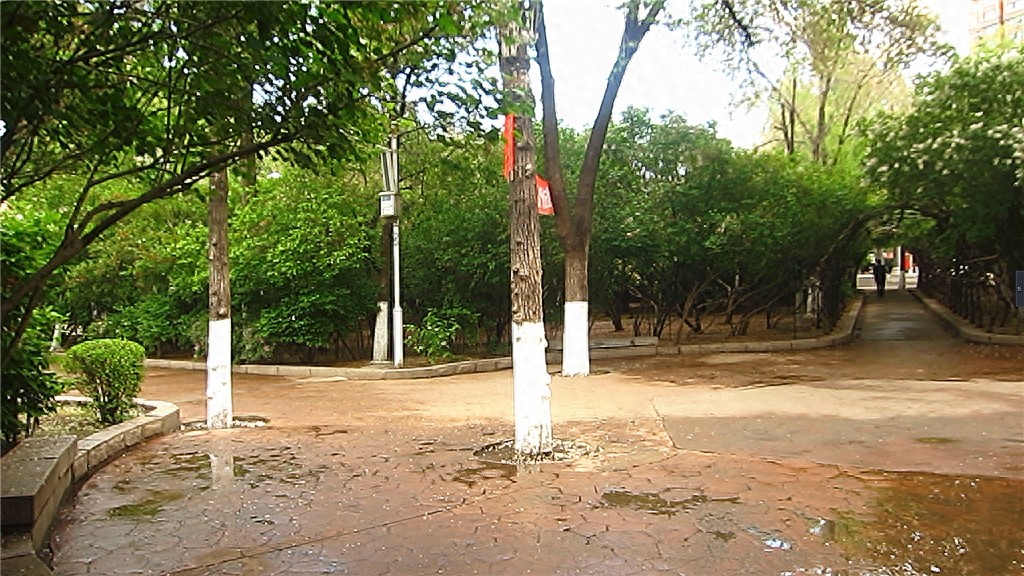 哈尔滨隐藏最深的一座公园,外地人恐怕都找不到——清滨公园